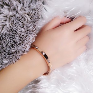 フレッシュコールドエアチタンスチールブレスレット