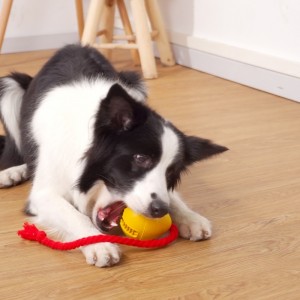 ゴム漏れスナックドッグトイ