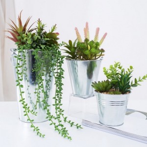 鉄の鍋の工場直接供給人工的な多肉植物