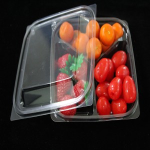 新鮮透明食品ブリスター