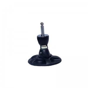 ベースプレート腱の関節