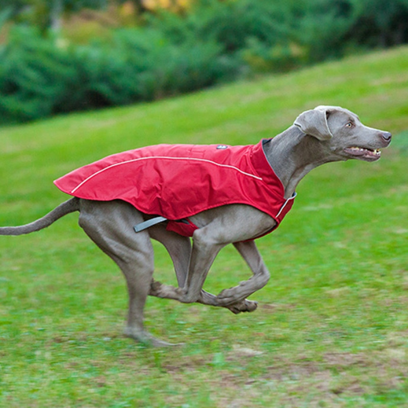 古典的なスタイルの反射犬のコート防水調節可能な冬の犬のジャケットの可逆的な軽量