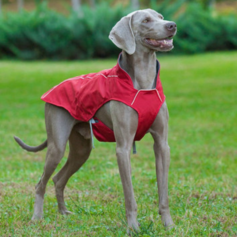 古典的なスタイルの反射犬のコート防水調節可能な冬の犬のジャケットの可逆的な軽量