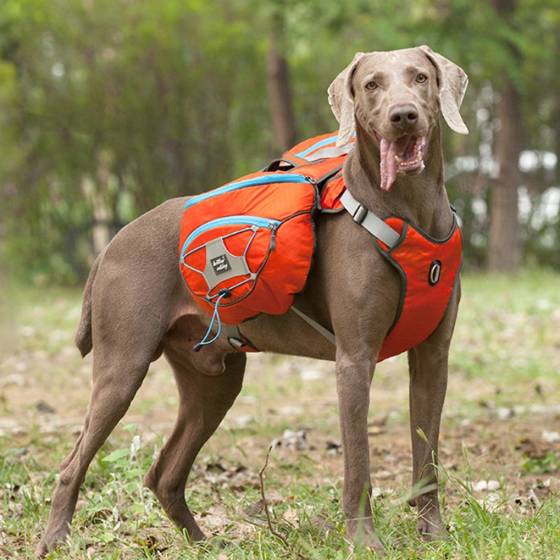 ハーネス暖かいペットコートベストウインドブレーカー冬の犬のジャケットと新しいデザインの反射犬の服