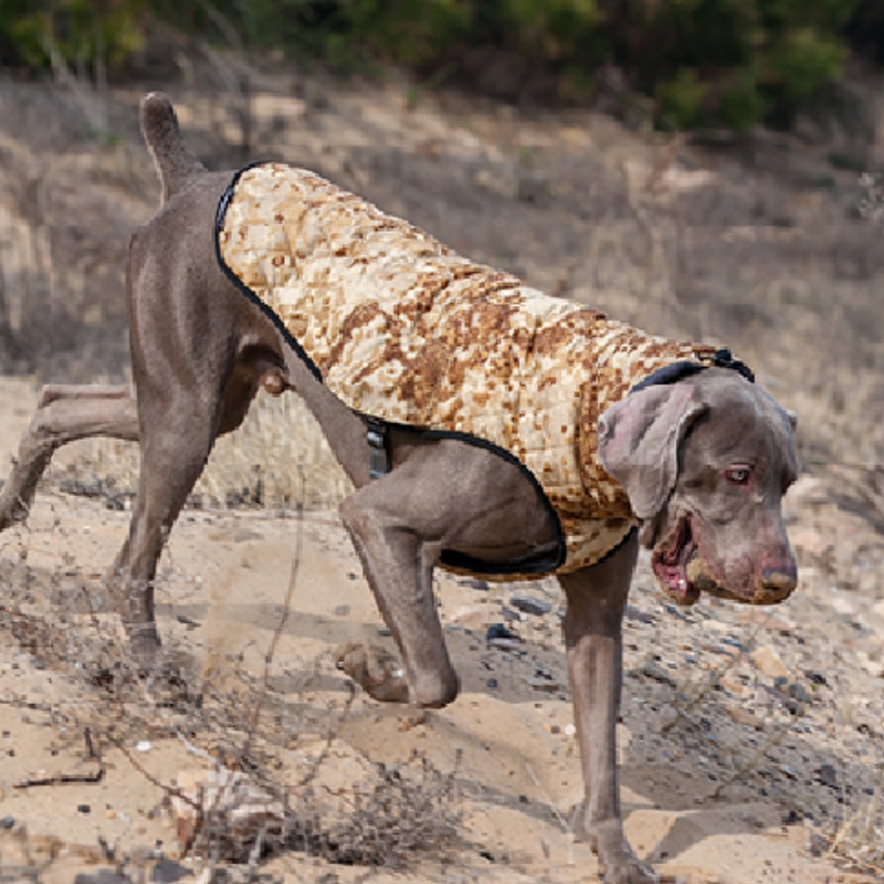 アマゾン熱い販売の新しいペット服犬の服秋と冬の厚い伸縮性のあるセーターペットのセーター