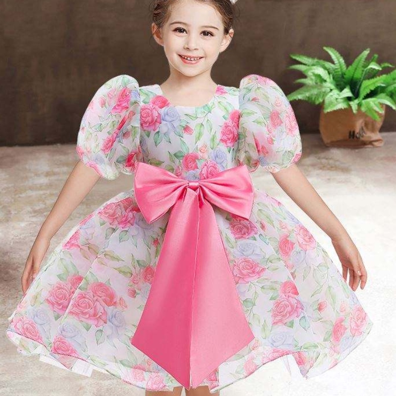 Baige New Fashion Wedding Party Princess幼児の女の赤ちゃんの服子供の女の子のドレス