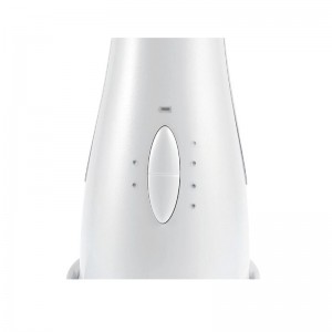 基底電気フェイシャルマッサージ