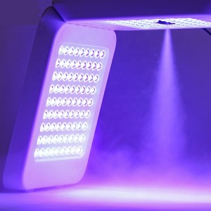 2022 NEW LED Therapy Facial Photon Therapy Lamp/PDT LED Spray Omega Light Machine for Nano Water Supplemen