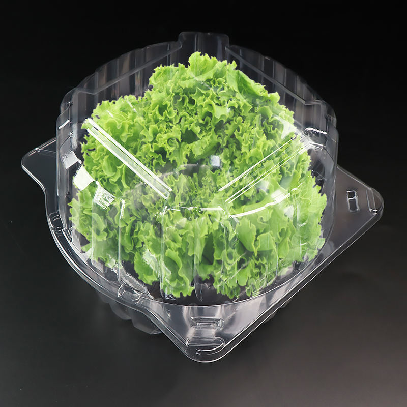 透明なRPETまたはペットクラムシェルブリスターコンテナ1ポンドのサラダハーブレタスの緑豊かなパッケージボックス