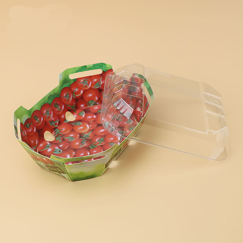 フルーツパンネットパッケージングコンテナ用のカスタムプラスチック段ボール箱