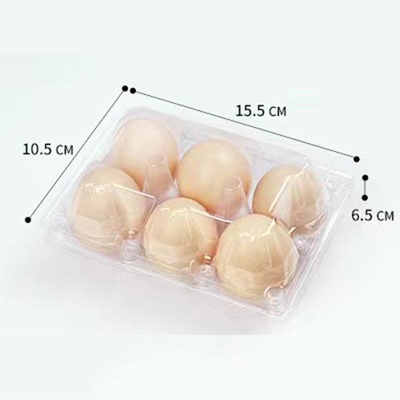 卵トレイ155*105*65 mm 6溝