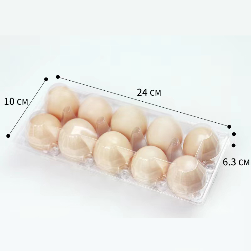 卵トレイ（中）240*100*63 mm 10溝
