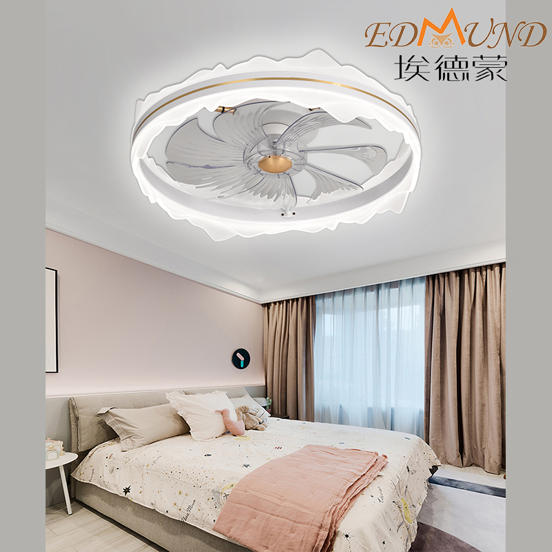 C008-Whe Whe Ceiling Fan Light