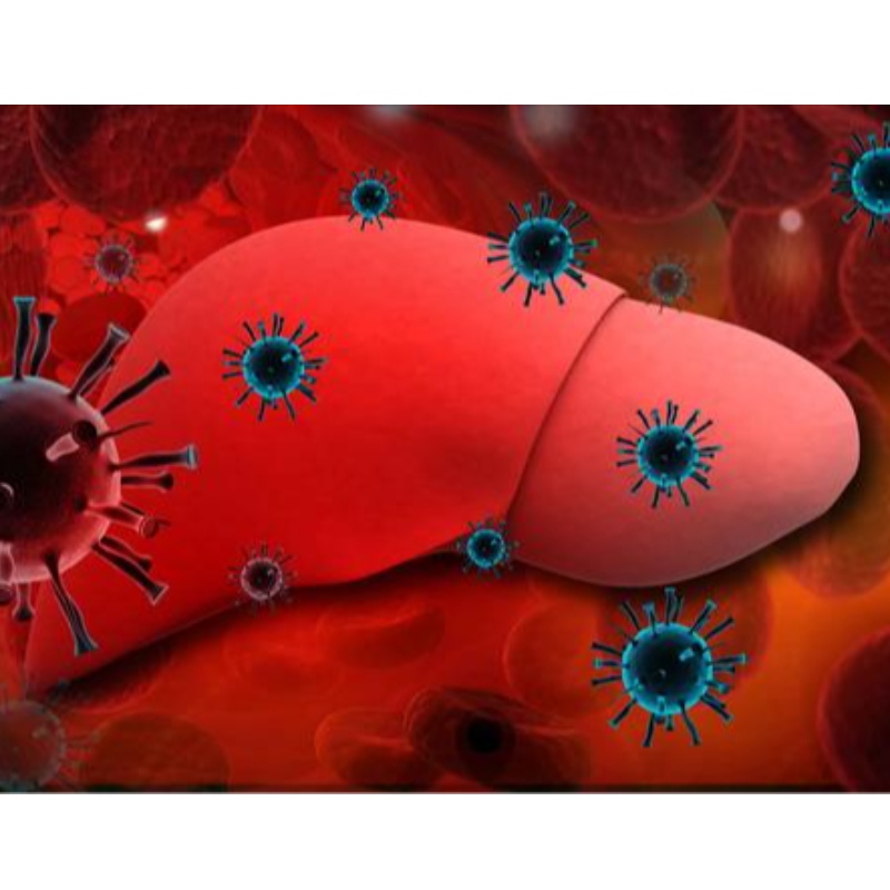 パルマ大学：NMNは慢性肝炎を改善します