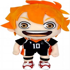 Shoyo hinata haikyuu !!!