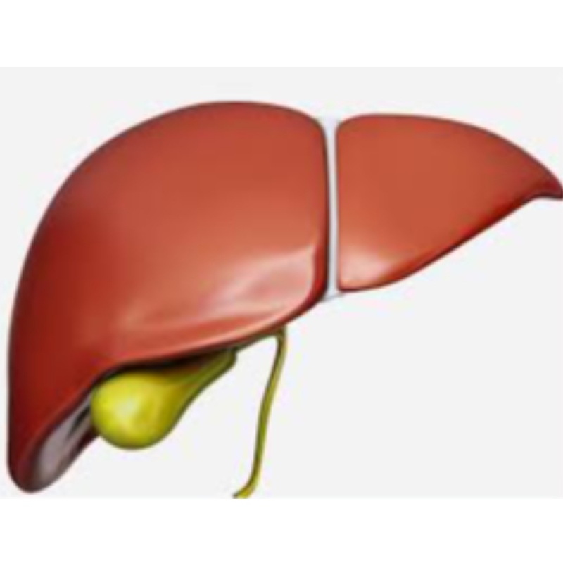 NMNは肝臓の老化を防ぎます