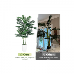 ゴールデンステッキヤシの木人工屋内