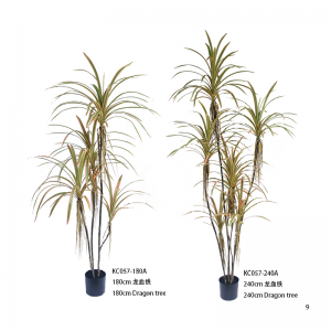 ドラゴンツリー