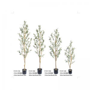 オリバーツリー