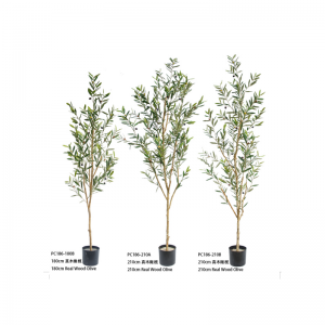 オリバーツリー