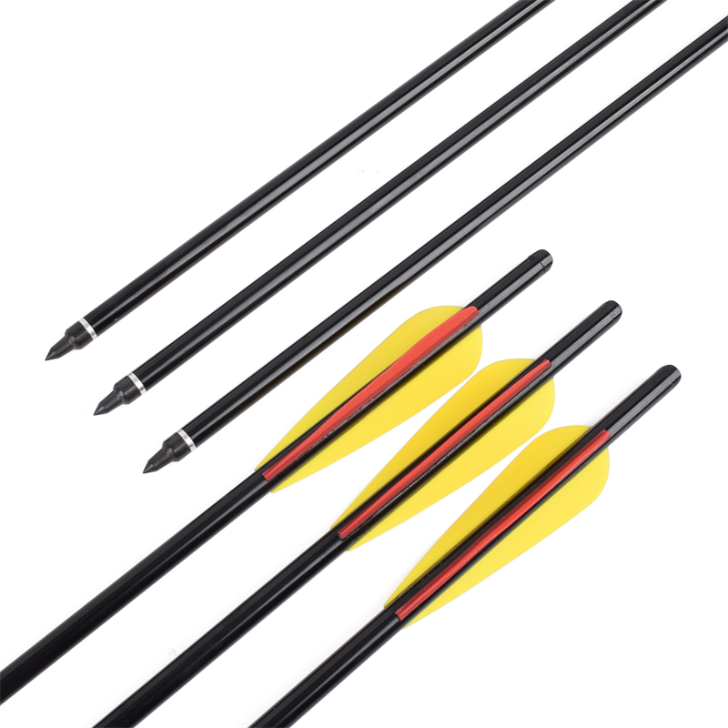 1629267995.jpg 11.jpg