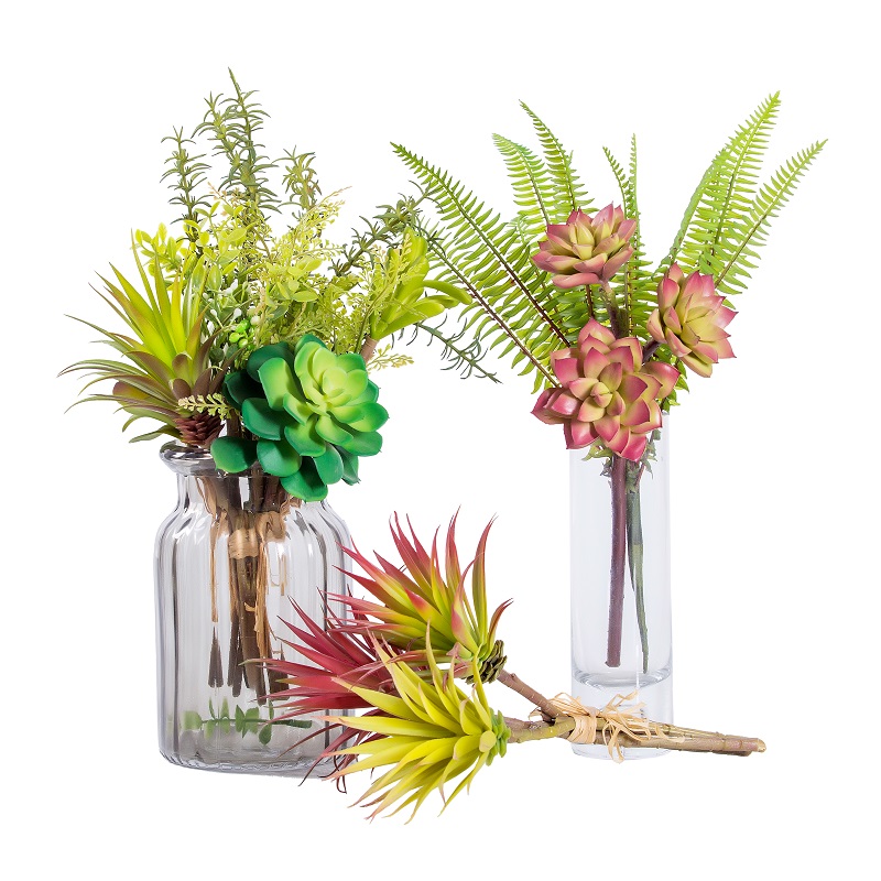 1638175435.jpg succulent10-.jpg