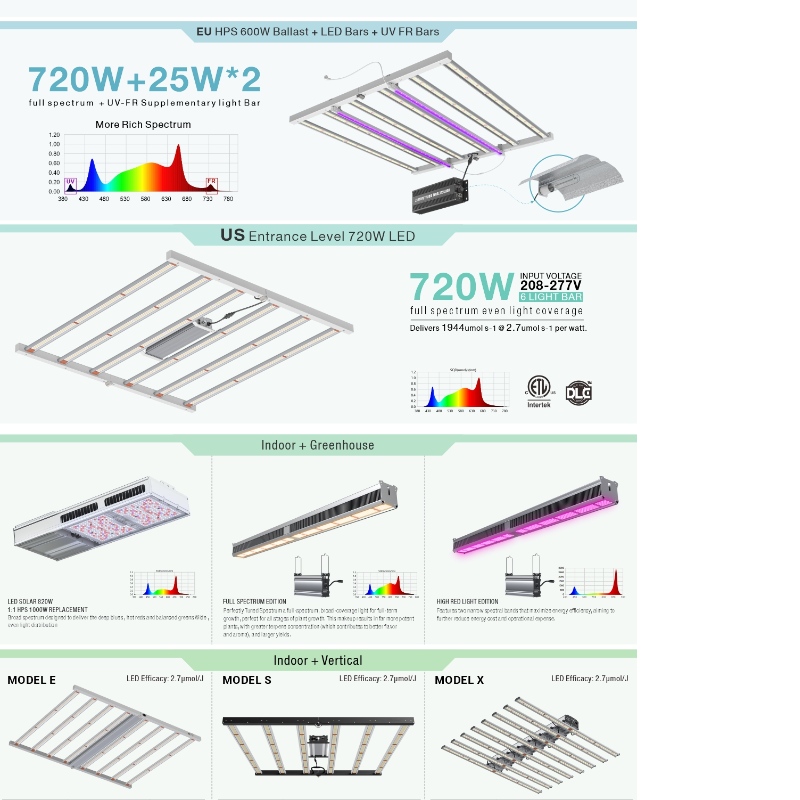 1703588611.jpg 2.jpg